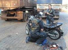 Galeria Répteis do Asfalto