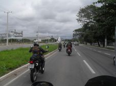 Galeria Répteis do Asfalto