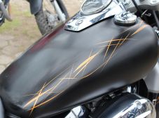 Aniversário Répteis - Prainha de Vila Velha - 2013