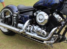 Aniversário Répteis - Prainha de Vila Velha - 2013