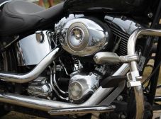 Aniversário Répteis - Prainha de Vila Velha - 2013