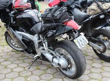 Aniversário Répteis - Prainha de Vila Velha - 2013