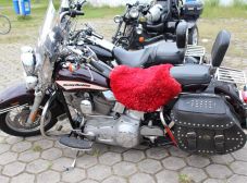 Aniversário Répteis - Prainha de Vila Velha - 2013