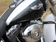 Aniversário Répteis - Prainha de Vila Velha - 2013