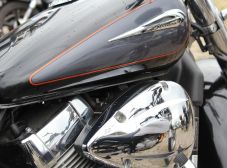 Aniversário Répteis - Prainha de Vila Velha - 2013