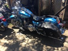 Aniversário Répteis Facção BH - Juatuba - 2014