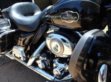 Aniversário Répteis Facção BH - Juatuba - 2014