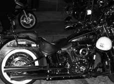 IV Vila Velha Moto Fest - Répteis do Asfalto