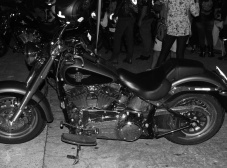 IV Vila Velha Moto Fest - Répteis do Asfalto